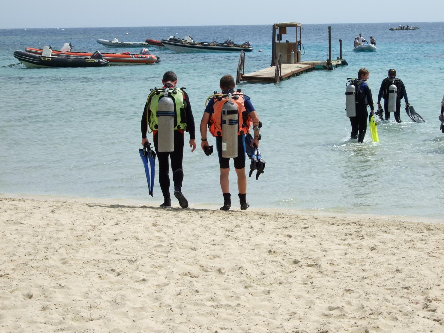 first dive