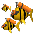 fishes