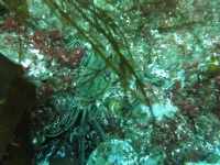 DSCF3575